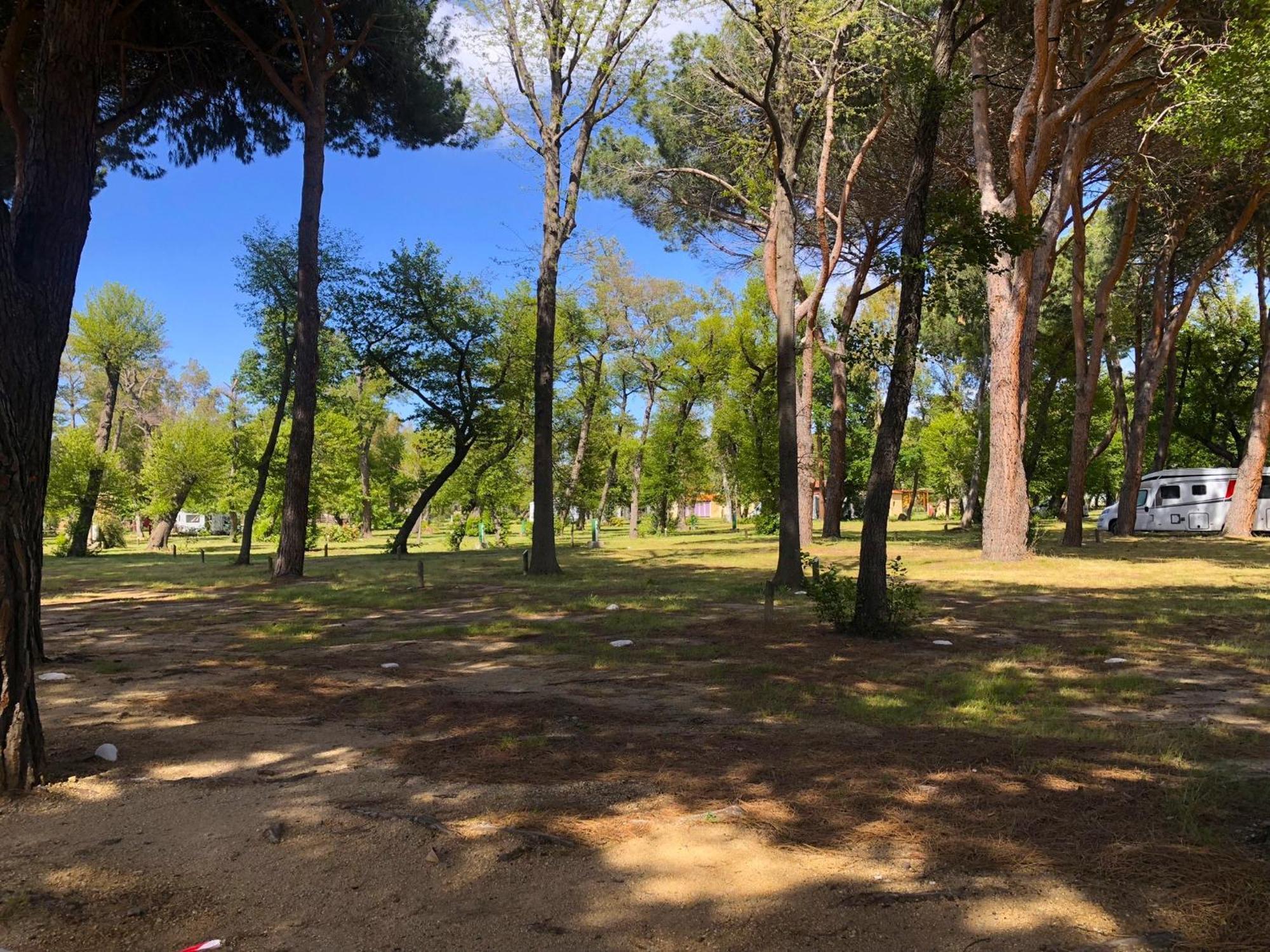 Camping Dolce Calvi (Corsica)