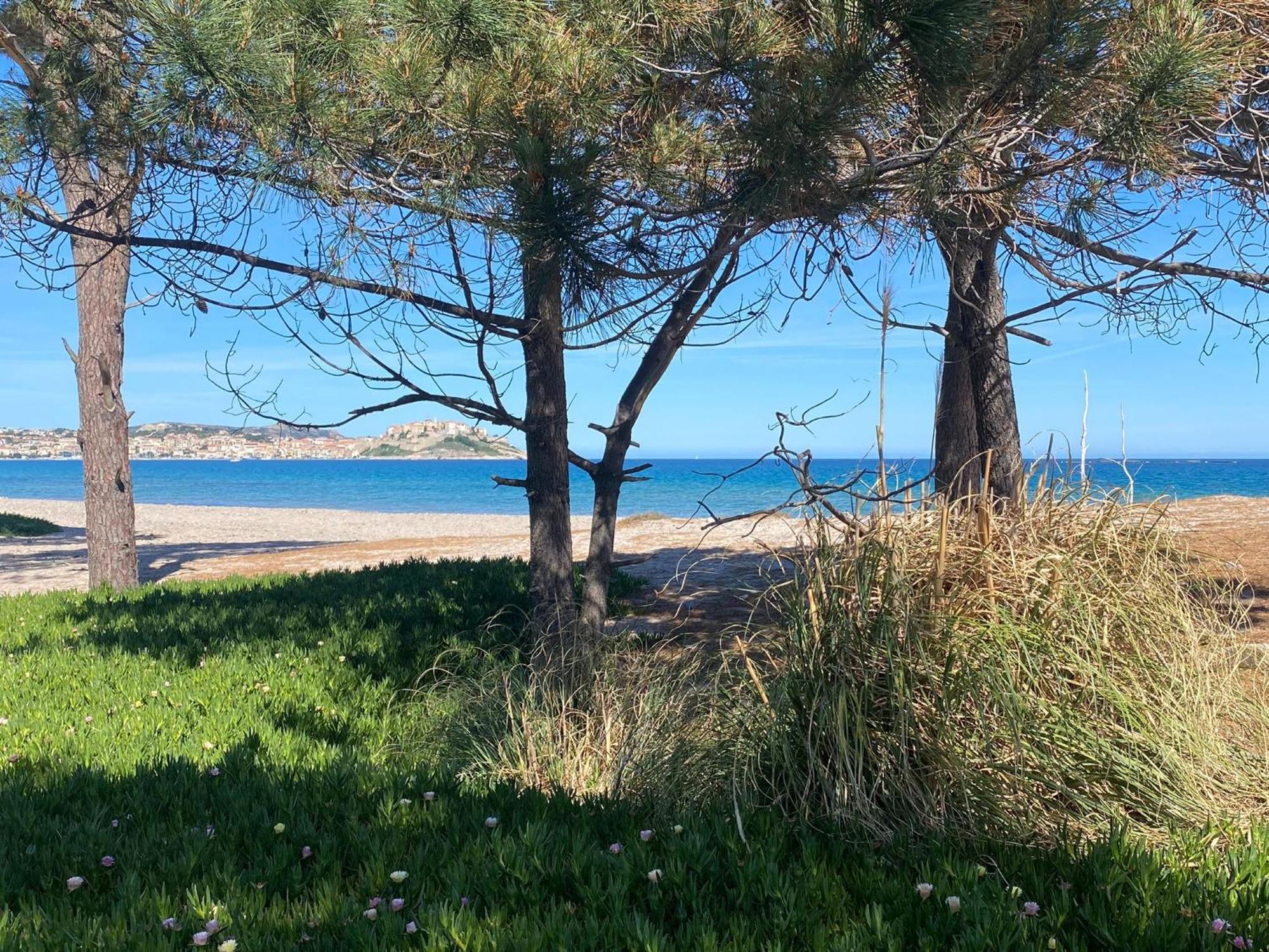 Dolce Calvi (Corsica)