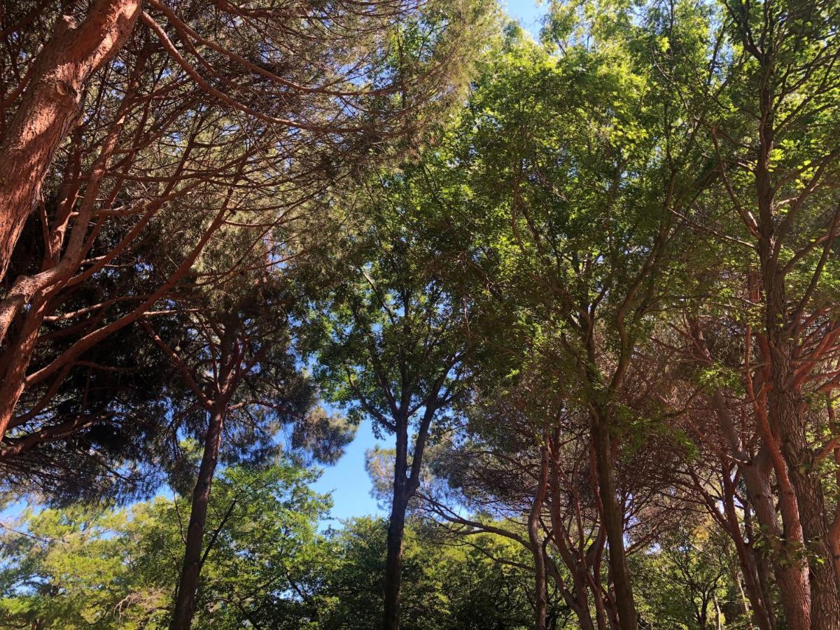 Parque de Campismo Dolce